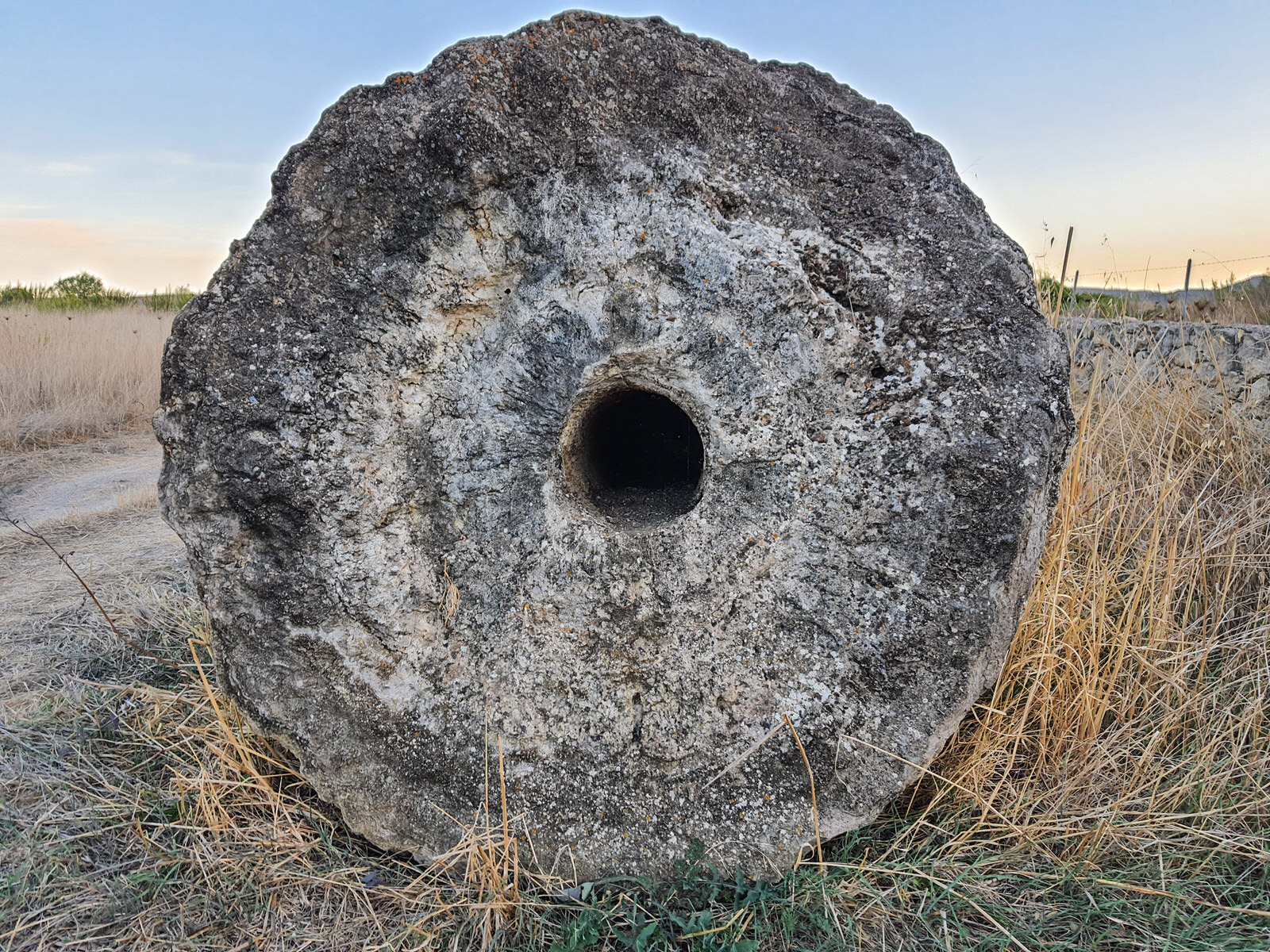 Foresta Pietrificata di Carrucana