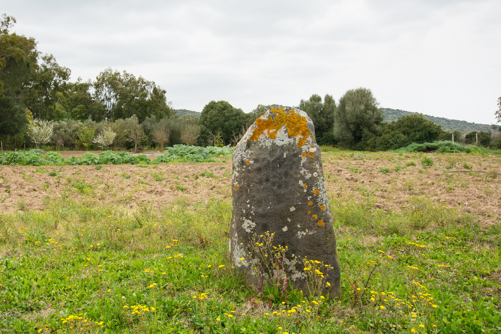 Menhir di Genna Prunas