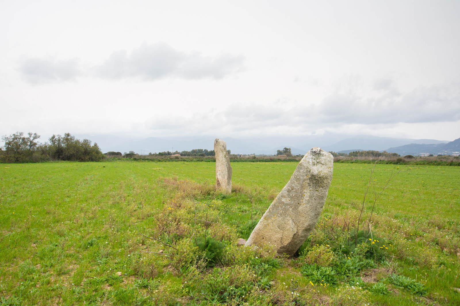 Menhir di Perdas Longas