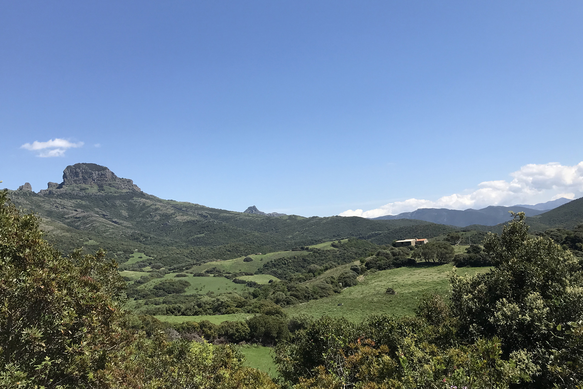 Monte Arcuentu