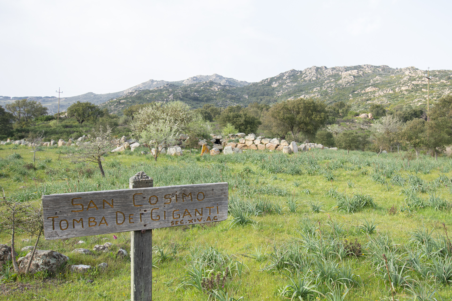 Tomba dei Giganti di San Cosimo